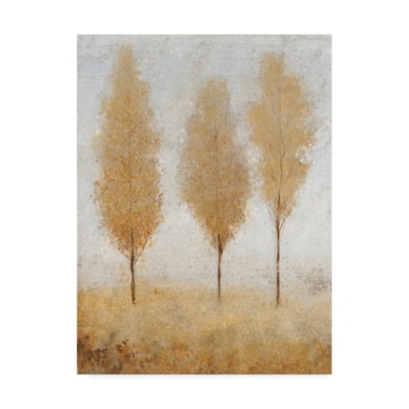 Tim Otoole 'Autumn Springs I' Canvas Art,18x24